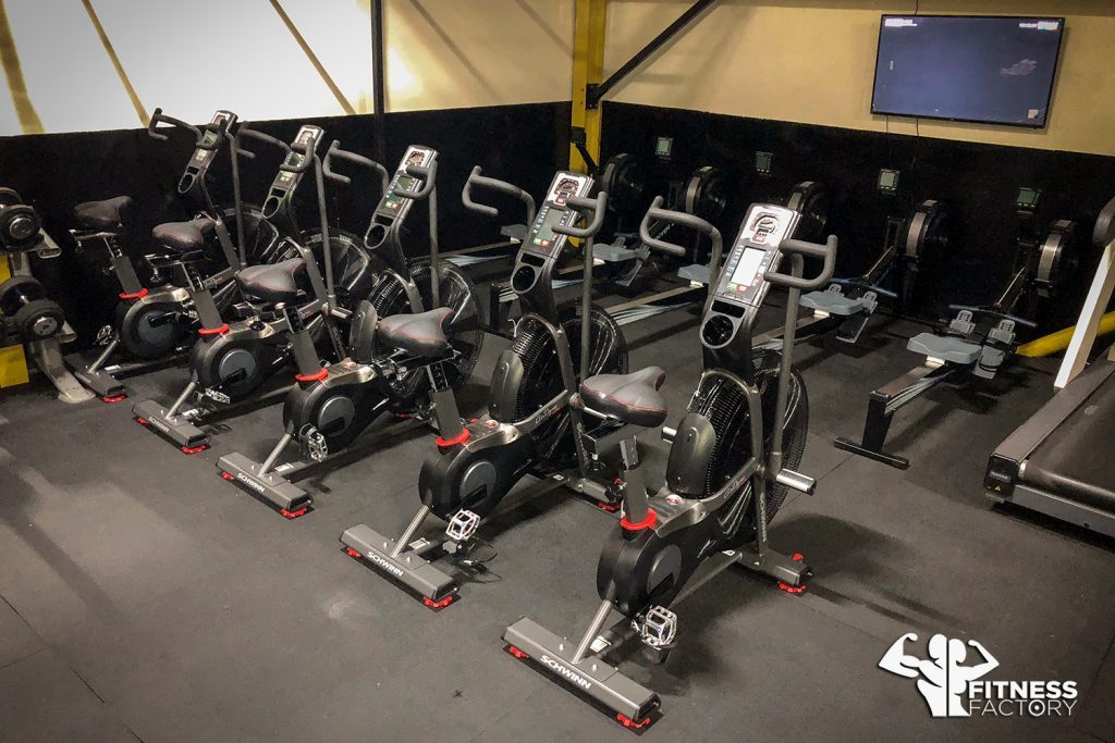 Gallery Fitness Factory Gym in Telford