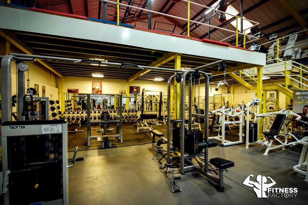 Resistance and Free Weights Bodybuilding Fitness Factory Gym in